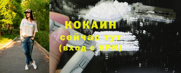 крисы Бронницы
