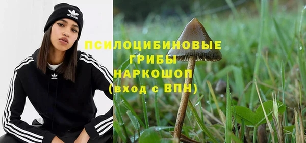 крисы Бронницы