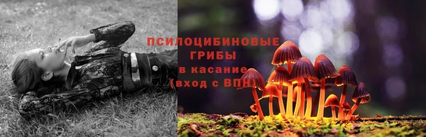 СК Бородино